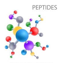 What Are Peptides and How Can They Help Your Skin? 